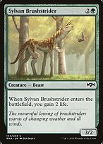 Sylvan Brushstrider